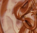 CHOCOLAT TURENNE chocolat turenne CHOCOLATERIE TURENNE chocolaterie turenne SEDAN sedan ARDENNES ardennes FRANCE france 6
